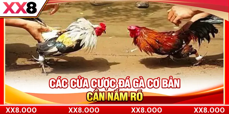 Các cửa cược đá gà cơ bản cần nắm rõ
