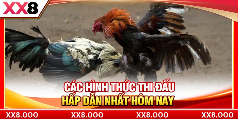 Các hình thức thi đấu hấp dẫn nhất hôm nay