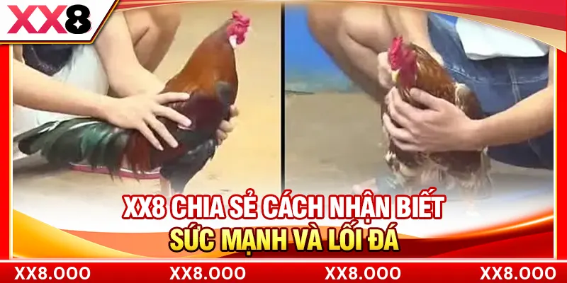 XX8 chia sẻ cách nhận biết sức mạnh và lối đá